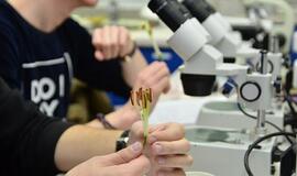 Projektas "Iškeisk pamoką į paskaitą" į Klaipėdos universitetą vėl sukvies šimtus moksleivių