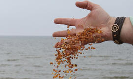 Stebėkite internetu paskaitą “Gintaras tarp vakarinių baltų: romėniškasis laikotarpis”