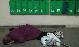 Benamių Neringoje - vienetai