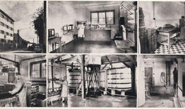 Olandų konsulas, vairavęs Klaipėdos pramonę per verslo audras