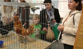 Tarptautinė dekoratyvinių vištų, balandžių bei triušių paroda "Akropolyje"