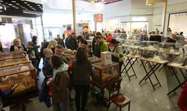 Tarptautinė dekoratyvinių vištų, balandžių bei triušių paroda "Akropolyje"