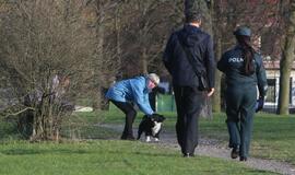 Viešosios tvarkos skyriaus vakarinis reidas