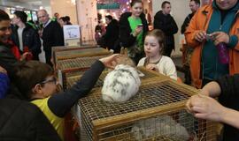 Tarptautinė dekoratyvinių vištų, balandžių bei triušių paroda "Akropolyje"