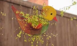 Atvelykis Klaipėdoje