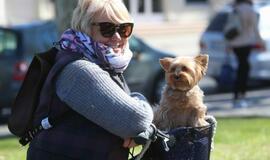 Jurginių šventė Palangoje