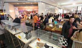 Tarptautinė dekoratyvinių vištų, balandžių bei triušių paroda "Akropolyje"