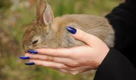 Atvelykis Klaipėdoje