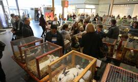 Tarptautinė dekoratyvinių vištų, balandžių bei triušių paroda "Akropolyje"