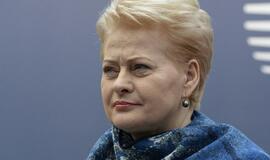 Prezidentė: ir toliau aktyviai remsime Ukrainos europinį pasirinkimą
