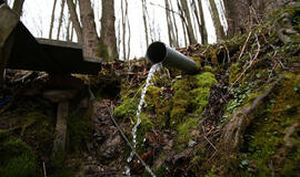 Rimkų šaltinis: stebuklų nėra, bet gerti galima