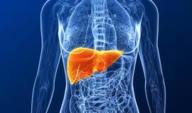 Tyrimas: klaipėdiečiai stokoja žinių apie kepenų atsinaujinimą