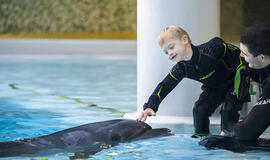 Delfinų terapijos specialistai – apie naujus metodus