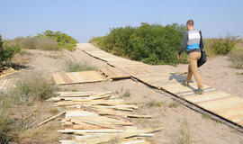 Dirbti už pinigus - eilės, už galimybę reklamuotis - vienetai