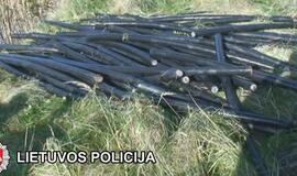 Elektros kabelio vagystės organizatorius - už grotų