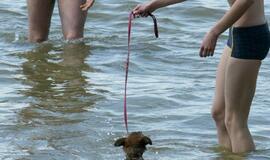 Nustatė, kaip elgtis vandenyje ir ant ledo