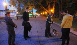 Naktinis viešosios tvarkos reidas