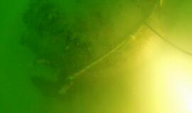 Netoli Klaipėdos uosto vartų - jūrinė mina