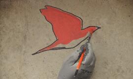 Šilutės miesto šventė