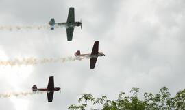 Šilutės miesto šventė