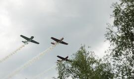 Šilutės miesto šventė