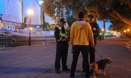 Naktinis viešosios tvarkos reidas