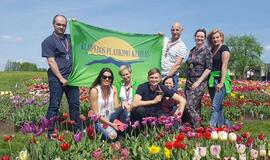 Plaukimo veteranams - 24 medaliai