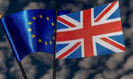 Britanijos automobilių pramonė ir dauguma jos stambiųjų verslininkų renkasi narystę ES