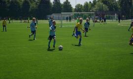 Futbolo mokykla „Baltai"