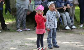 Švėkšnos vestuvinių muzikantų festivalis