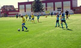 Futbolo mokykla „Baltai"