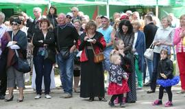 Švėkšnos vestuvinių muzikantų festivalis