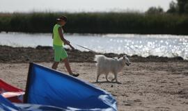 Pamario turizmo sezono atidarymas