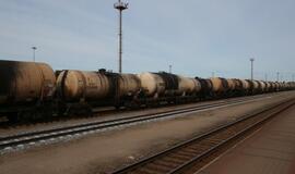 Asociacijos "Mano miestas Klaipėda" septintasis gimtadienis