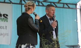 Švėkšnos vestuvinių muzikantų festivalis