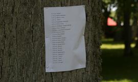 Švėkšnos vestuvinių muzikantų festivalis