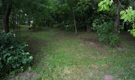 Piliakalniui ir kapinaitėms - jaunųjų ekologų dėmesys