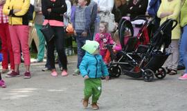 Švėkšnos vestuvinių muzikantų festivalis