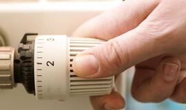 Renovacijos dienoraštis (28)