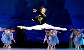 Vasaros baleto šventė 2016