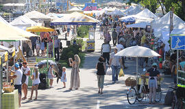 Žvejo dienos pradžia – vangoka  