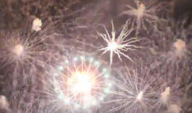 Jūros šventės dangų nušvietė fejerverkai