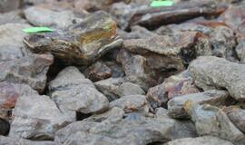 Jūros šventės mugė