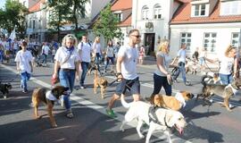 Jūros šventės eisena