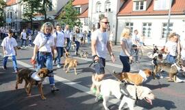 Jūros šventės eisena