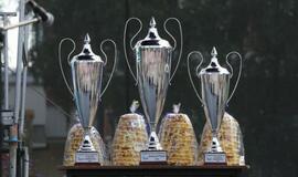 Drakonų laivų lenktynės