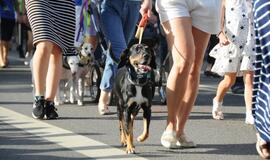 Jūros šventės eisena