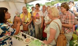 Minijos slėnyje antrus metus iš eilės vyko sveikatos festivalis "Tu gali"