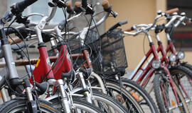 Neringoje masiškai vagiami dviračiai