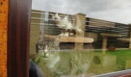 Mero apsilankymas "Nuare"